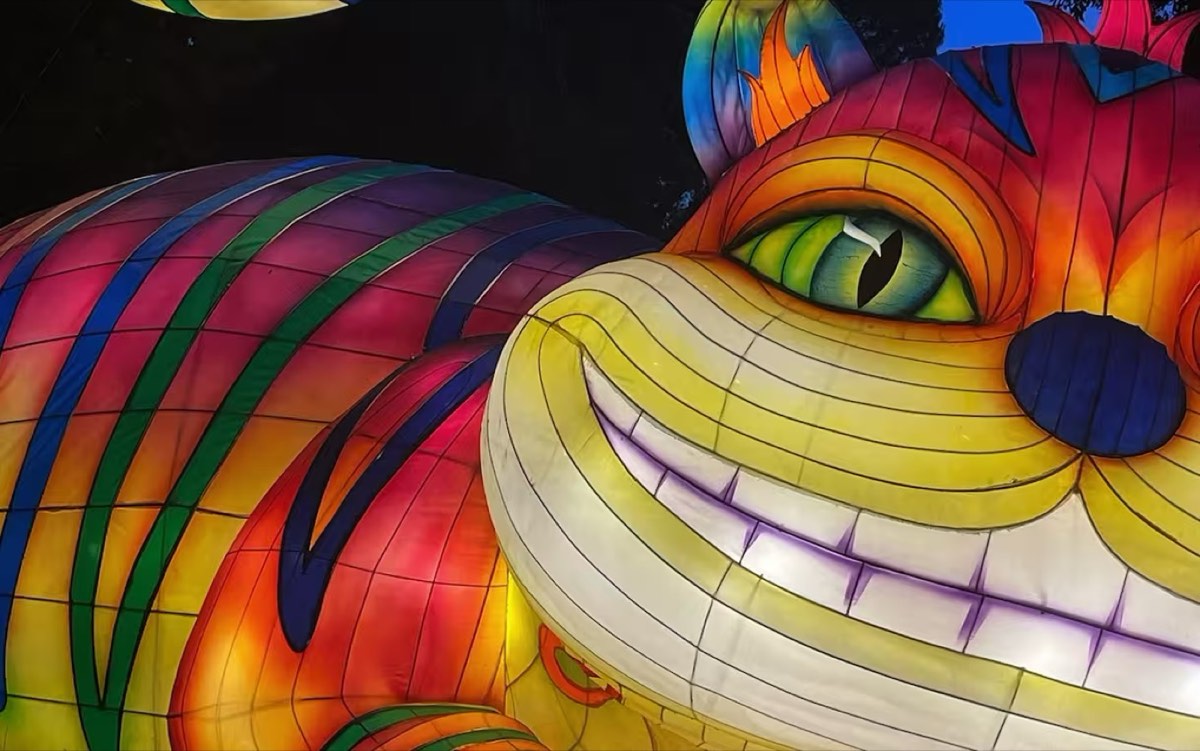 Cheshire Cat light lantern