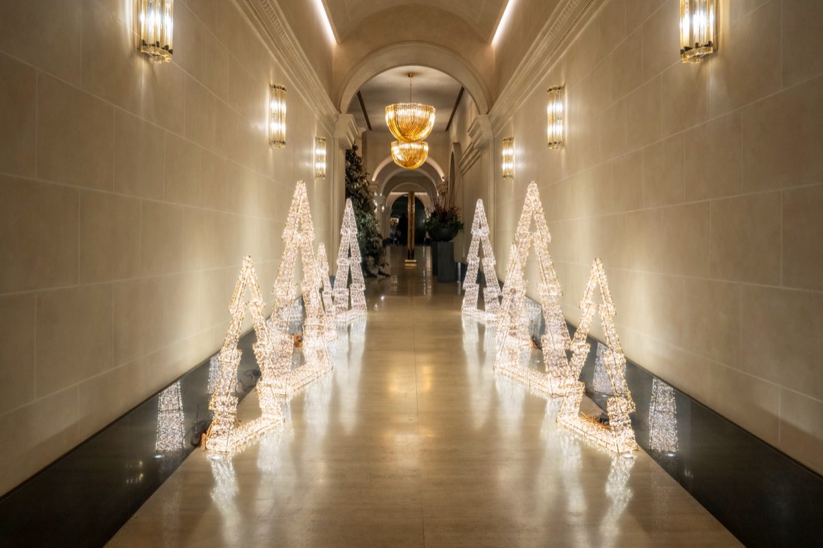 Corridor with illuminated trees